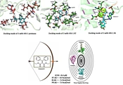 Iran J Pharm Res